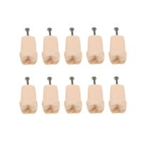 bulunde 10PCS Dental Typodont Practice Teeth Study Model Individual Replacement  - £8.78 GBP