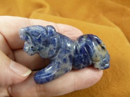 (Y-TIG-738) Blue gray Sodalite TIGER gemstone FIGURINE love CATS tigers ... - $24.99