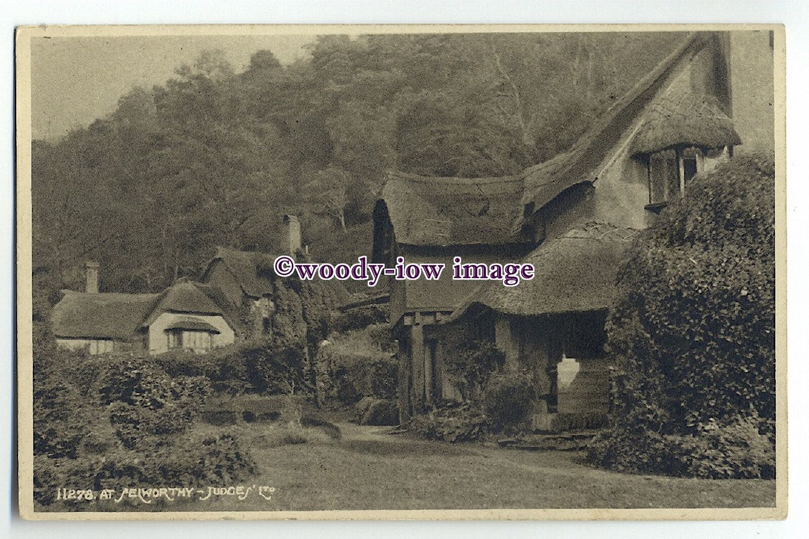 Ju592 - Thatched Cottages at Selworthy , Somerset , Judges postcard 11278 - $1.90