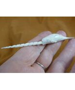 Whale-w125 little white Narwhal Whale of shed ANTLER figurine Bali sea u... - €76,82 EUR