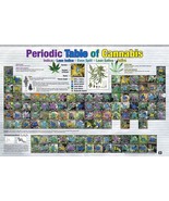 Periodic Table Of Cannabis Poster Weed Marijuana - $8.99