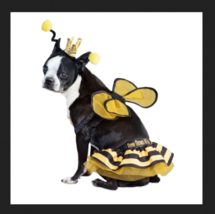 Bootique Pet Costume - Bee Royalty - XS - Extra Small - New - £11.77 GBP