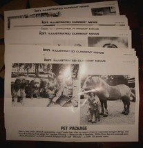 Illustrated Current News Photo 1979 to 1981 lot of 27 different Zoos Rac... - £21.75 GBP