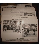 Illustrated Current News Photo 1979 to 1981 lot of 27 different Zoos Rac... - $526.30 MXN