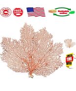 Genuine 10-12” Red Coral Fan | Stunning Nautical Accent for Home &amp; Events - €48,06 EUR