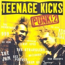 Teenage Kicks - Punk 2 CD (2001) Pre-Owned - £12.00 GBP