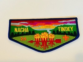 Boy Scouts Cub Girl Patch Vtg Council Badge Memorabilia Nacha Tindey 25 ... - £13.16 GBP