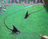 Gamma 2 [Vinyl] - £16.02 GBP