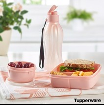 Tupperware Lunch Set 16oz ECO Bottle Ideal Bowl Lunch It Container Blush... - €15,60 EUR