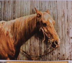 36&quot; X 44&quot; Panel Horse Palomino Animals Digital Print Cotton Fabric Panel D786.73 - £12.74 GBP