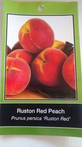 Ruston Red Peach 4-6 Ft Tree Plant Sweet Juicy Peaches Fruit Trees Plants - £113.08 GBP