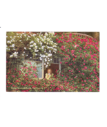 Postcard-Rose Covered Home, California-Girl-Pacific Novelty-Antique DB C... - $9.50