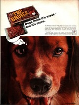 1967 Top Choice Dog Food Ad    Irish Setter Dog puppy nostalgia a3 - £16.99 GBP