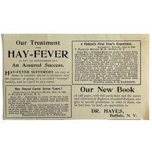 Dr Hayes Hay Fever Medicine 1894 Advertisement Victorian Buffalo NY 1 ADBN1ff - $19.99