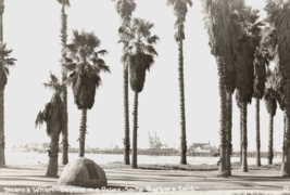 Santa Barbara California RPPC Postcard Stearns Wharf Beyond The Palms - £8.20 GBP