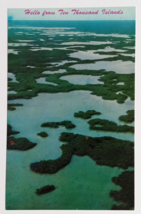Greetings from Ten Thousand Islands Everglades City Florida FL Postcard c1970s - £5.50 GBP