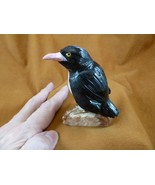 (Y-PEN-357) X Large Black Onyx PENGUIN bird gemstone FIGURINE stone carv... - €23,85 EUR