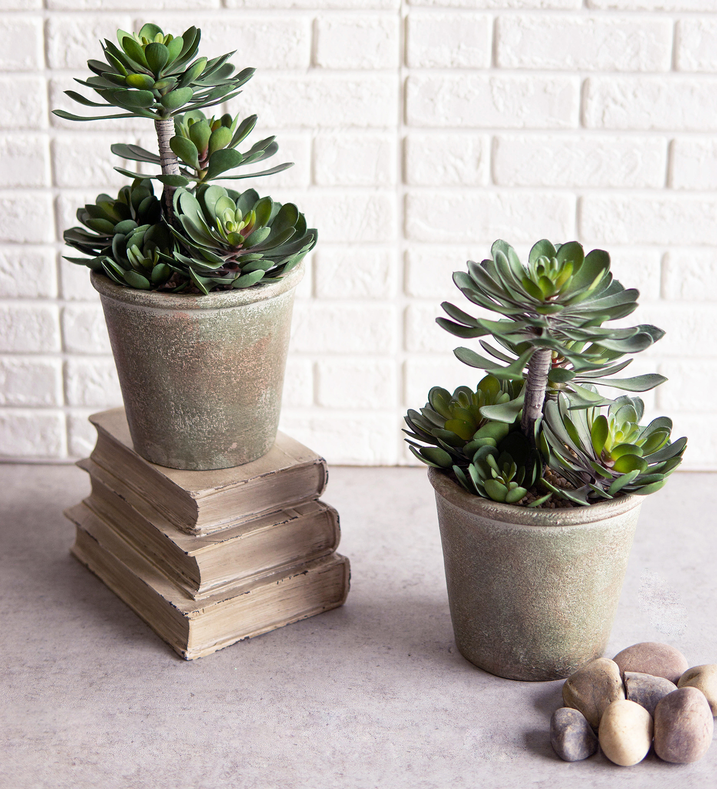 Pack Of 2 Lifelike Artificial Zwartkop Succulent Blooms Botanicas In Earth Pots - £71.93 GBP