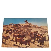 Postcard A Herd Of Horses At Roundup Time Chrome Unposted - $7.61