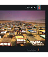 Pink Floyd - A Momentary Lapse Of Reason (LP) (Mint (M)) - $32.99