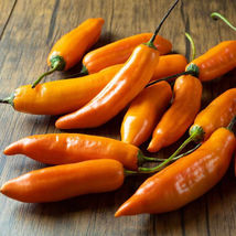 25 Seeds Ají Amarillo Pepper Vegetables Garden - £7.68 GBP