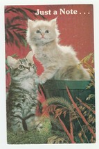 Vintage Postcard Kittens in Bushel Basket Red Background Cat Card 1960&#39;s - £5.44 GBP