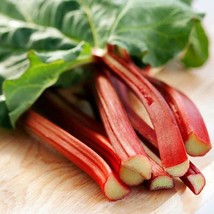 25 Seed Rhubarb Red Victoria Perennial Taste Has A Bit Of Wine Flavor To It Easy - $21.80