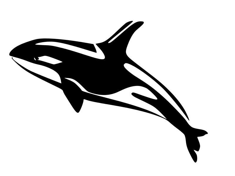 ORCA Whale Tilikum Vinyl Decal Car Wall Window Sticker CHOOSE SIZE COLOR