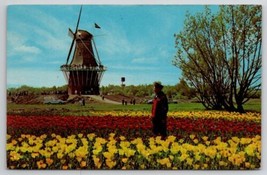 Holland Michigan De Zwaan The Swan Windmill Postcard J29 - $4.95