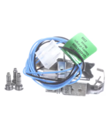 York Q3400A1008, Pilot Ignitor Assembly - €997,46 EUR