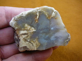 (DF700-8) Fossil REAL DINOSAUR POOP Coprolite Dino Utah Jurassic DUNG Po... - $394.00 MXN