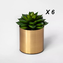 Artificial succulents faux mini dudleya home decor New w/ defects 5&quot; x 2.5&quot;  6CT - £14.39 GBP
