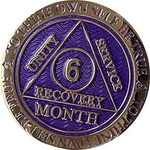 6 Month AA Medallion Reflex Purple Silver Plated Chip - £11.66 GBP