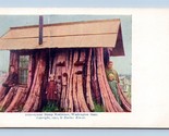 Darius Kinsey Cedar Stump House Everett Washington WA UNP UDB Postcard Q9 - $9.85