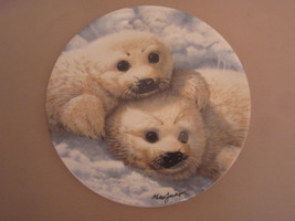 Baby Seals Collector Plate Mike Jackson Beauty Of Polar Wildlife Seal - £12.15 GBP