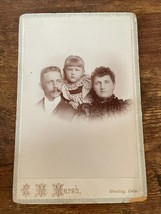 Vintage Cabinet Card. Marsh family by C.M. marsh in Greeley, Colorado - £46.89 GBP