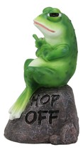 Hop Off! Rude Feisty Toad Frog Flipping The Bird Finger On Landscape Roc... - £21.17 GBP