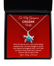 Chilean Wife Necklace Gifts - Turtle Pendant Jewelry Valentines Day Present  - £39.83 GBP