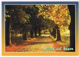 Postcard Alleen auf Rugen Avenue On Rugen Germany - $76.98 MXN