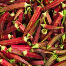 Fresh 100 Red Burgundy Okra Seeds Non-Gmo Heirloom Usa Seller - £8.01 GBP