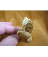 (Y-BIR-HU-555) Hummingbird Tan desert gem stone gemstone humming  birdca... - €11,94 EUR