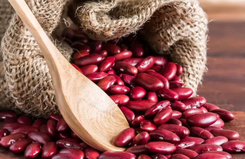 Red Kidney Bean Seeds 30 Seeds Easy to Grow Very Healthy - £11.51 GBP