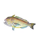 Tile Fish Vinyl Decal Sticker Truck Boat Car Tumbler Cooler Cup Tablet Tacklebox - $6.95 - $23.95
