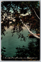 1911 West shore Lake Morey Fairlee Vermont Postcard birch tree boat - £3.94 GBP