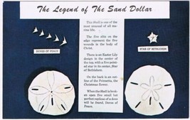 Postcard Legend Of The Sand Dollar Holy Ghost Shell - £2.28 GBP