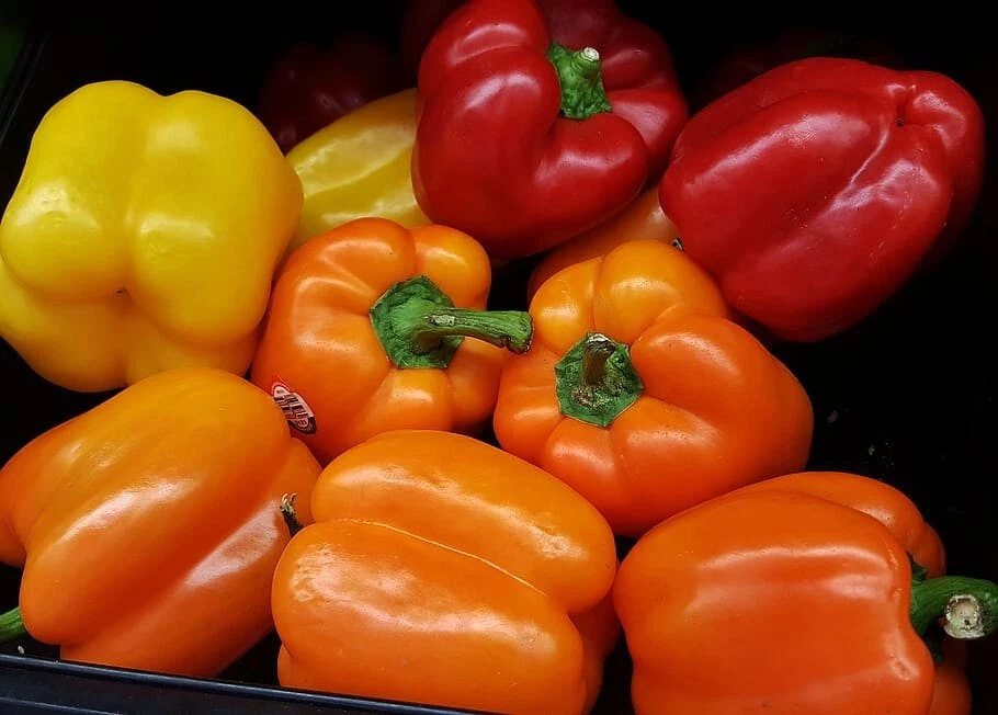 Bright &amp; Showy Blooms RAINBOW BELL PEPPER SEEDS MIX 50+ Red, Yellow, Ora... - $84.06 MXN