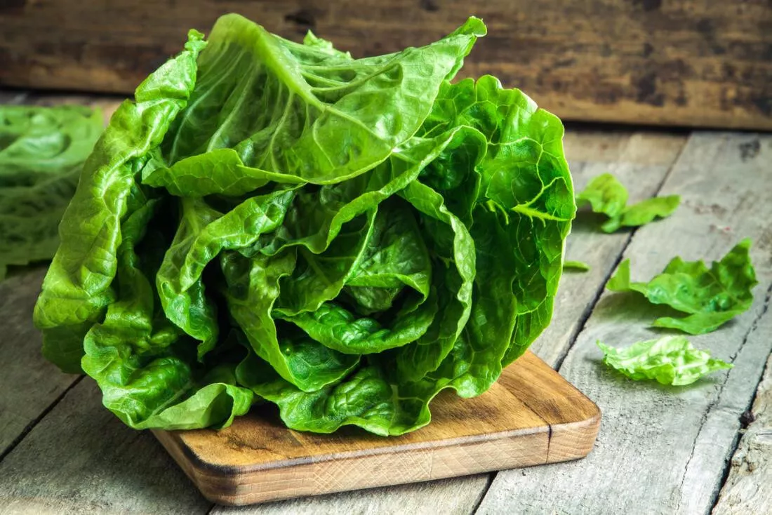 Parris Island Cos Romaine Lettuce Seeds (100) / Caesar Salad / ORGANIC - $12.39