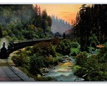 Railway Along Shasta River Shasta Springs California UNP DB Postcard T1 - $4.90