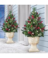 LED Lighted Christmas Tree Stake w Timer Outdoor Planter Porch Yard Deco... - €21,81 EUR