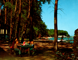 Postcard Erie PA Family Picnic in Presque Isle State Park Boats Water Bay 1950s - £5.87 GBP